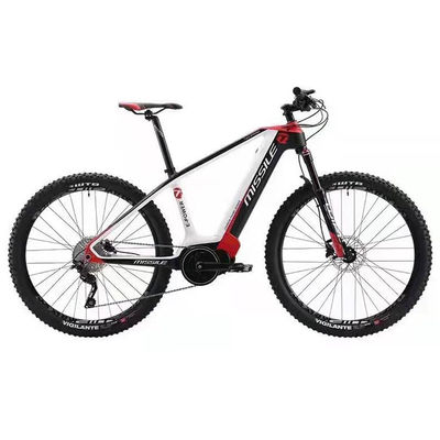 Electric City Bike With Brushless Motor Popular Style Full Carbon Fiber Road Bike