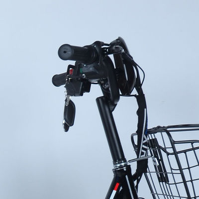 Lightweight 36V 250w Central Motor Electric Bike Bicycle With Motor Position In Central