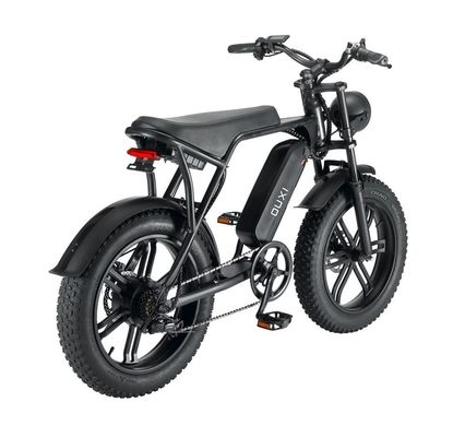 Directly 48V 500W Brushless Electric Motor For Mountain Bikes With Front Fork Suspension