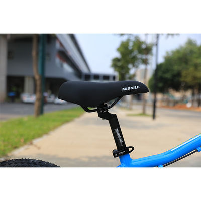Steel Frame Children Bike For 6 Years Old Children Aluminum Alloy Fork And Rim Material