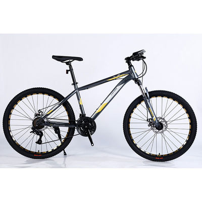 Experience the Thrill 24 Speed Fat Mountain Bike with Double Wall Rim and Big Tires