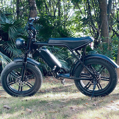 Powerful 750W V8 Motor 20 Inch Fat Tire Electric Mountain Bike With 48V 15ah Battery