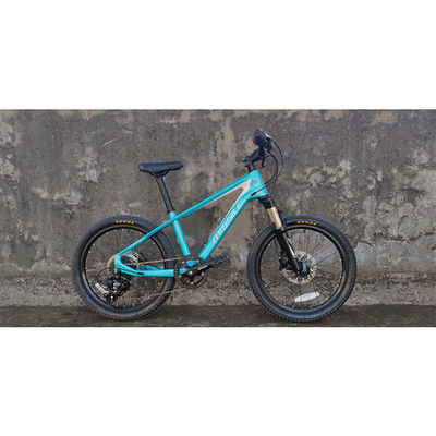 20 Inch Children Bicycle With Suspension Fork And Carbon Fiber Frame Weighs Only 11kg