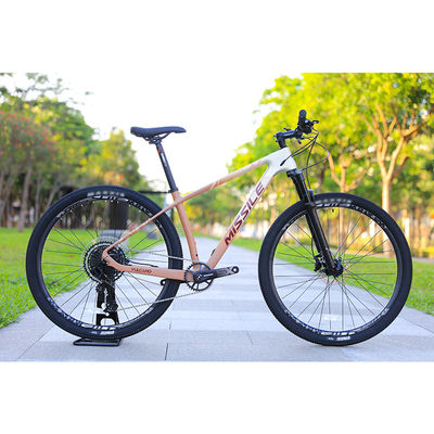 Aluminum Alloy Rim 24 Speed 29 Inch Carbon Mountain Bike for Mountain Adventures