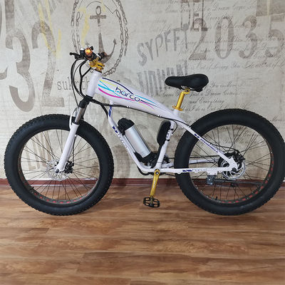 48V 500W Power Electric Bike For Exercise Balance And Retro Vintage Ebike Adventures
