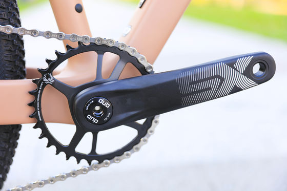 Aluminum Alloy Rim 24 Speed 29 Inch Carbon Mountain Bike for Mountain Adventures