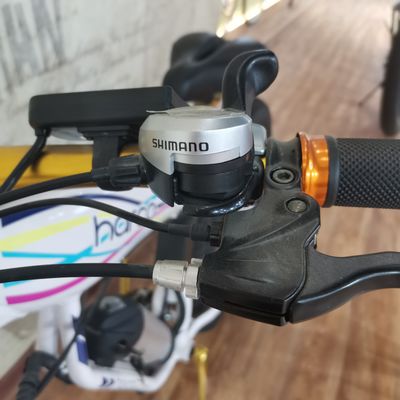 48V 500W Power Electric Bike For Exercise Balance And Retro Vintage Ebike Adventures