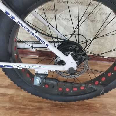 48V 500W Power Electric Bike For Exercise Balance And Retro Vintage Ebike Adventures