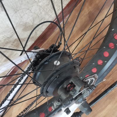 48V 500W Power Electric Bike For Exercise Balance And Retro Vintage Ebike Adventures