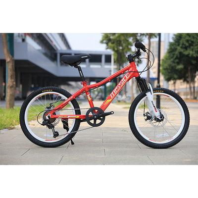 Girls Steel Frame Child Bike With Suspension Fork And NO Training Wheels