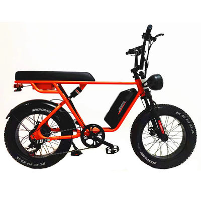 Outdoor Adventure 20*4.0 Kenda Fat Tire Double Disc Brake Mountain Bike For Teens