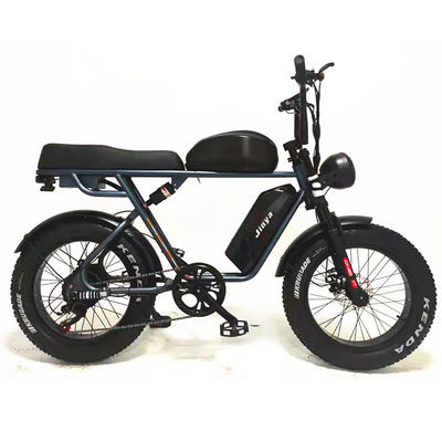 Outdoor Adventure 20*4.0 Kenda Fat Tire Double Disc Brake Mountain Bike For Teens