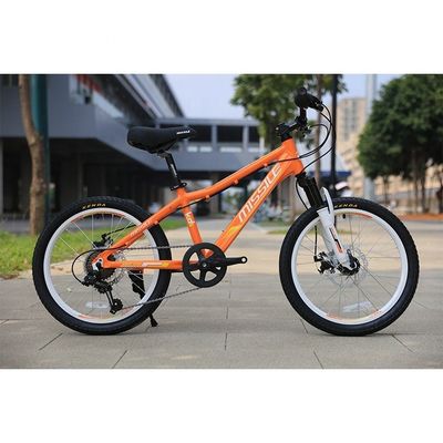 20 Inch Kids Bike Soft-tail Frame Red/Blue Training Wheels 3-8 Year Olds