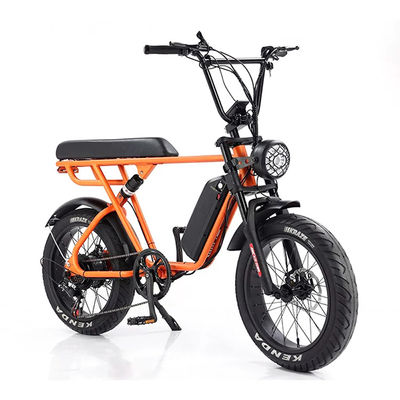 Outdoor Adventure 20*4.0 Kenda Fat Tire Double Disc Brake Mountain Bike For Teens
