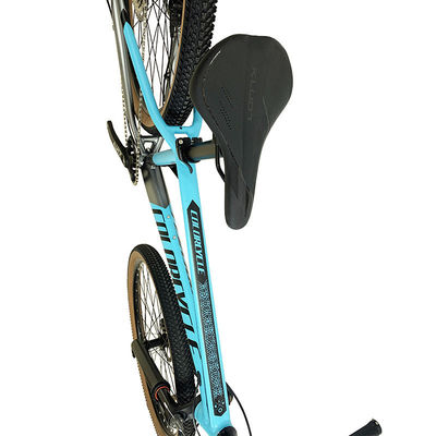 Alloy Cassette 29 Inch Mountain Bike with Hydraulic Disc Brake and Aluminum Alloy Frame