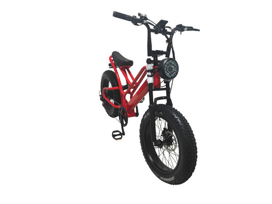 E-bike Fat Tire 48V10Ah Lithium Battery Speed 500W Brushless Spoke Motor For Snowmobiles