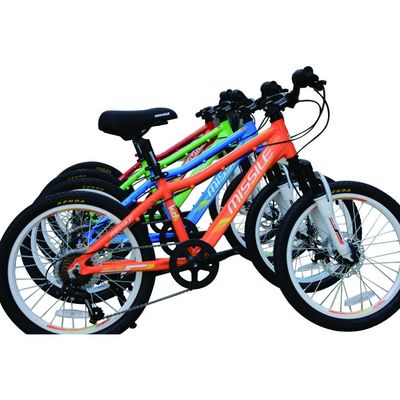 Steel Frame Child Bike Tricycle For Kids Mountain Exploration And Adventure