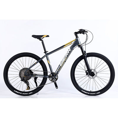 Manufacture 12 Speed Gears Mountain Bike with Double Wall Rim and Classic Design
