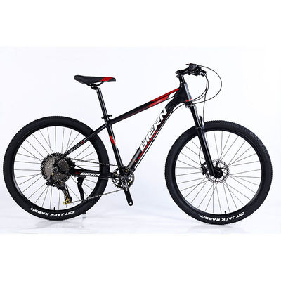 Manufacture 12 Speed Gears Mountain Bike with Double Wall Rim and Classic Design