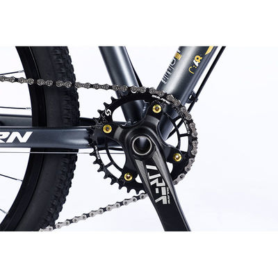 Manufacture 12 Speed Gears Mountain Bike with Double Wall Rim and Classic Design