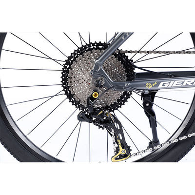 Manufacture 12 Speed Gears Mountain Bike with Double Wall Rim and Classic Design