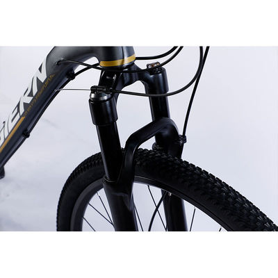 Manufacture 12 Speed Gears Mountain Bike with Double Wall Rim and Classic Design