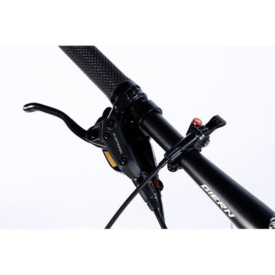 Manufacture 12 Speed Gears Mountain Bike with Double Wall Rim and Classic Design
