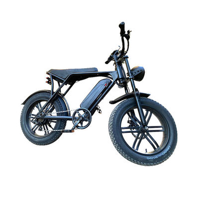 Electric Fat Tire Snow Beach E-Bike With Double Disc Brake And Lithium Battery Supply