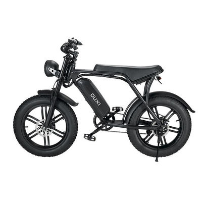 Electric Fat Tire Snow Beach E-Bike With Double Disc Brake And Lithium Battery Supply