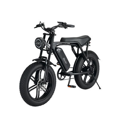 Electric Fat Tire Snow Beach E-Bike With Double Disc Brake And Lithium Battery Supply