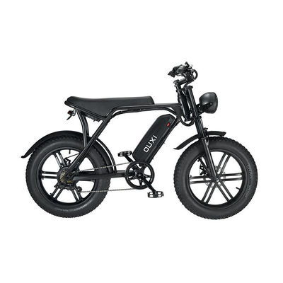Electric Fat Tire Snow Beach E-Bike With Double Disc Brake And Lithium Battery Supply