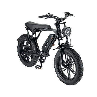 Electric Fat Tire Snow Beach E-Bike With Double Disc Brake And Lithium Battery Supply