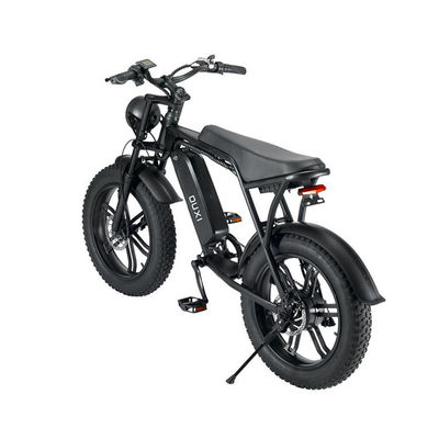 Electric Fat Tire Snow Beach E-Bike With Double Disc Brake And Lithium Battery Supply