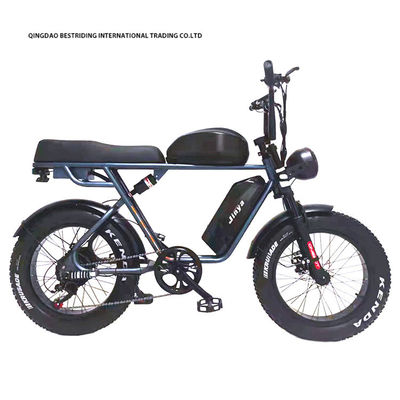 Custom 48V 1000W Electric Bike 20 Inch Fat Tire Ebike With And 52V Lithium Battery Charger