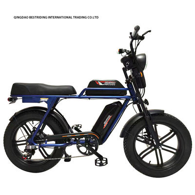 Custom 48V 1000W Electric Bike 20 Inch Fat Tire Ebike With And 52V Lithium Battery Charger
