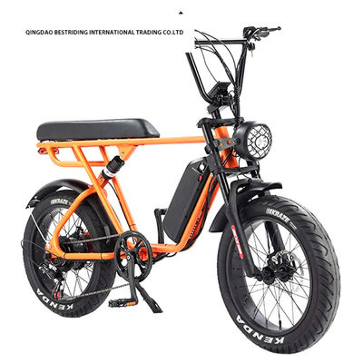Custom 48V 1000W Electric Bike 20 Inch Fat Tire Ebike With And 52V Lithium Battery Charger