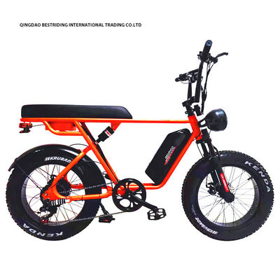 Custom 48V 1000W Electric Bike 20 Inch Fat Tire Ebike With And 52V Lithium Battery Charger