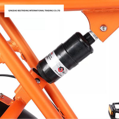 Custom 48V 1000W Electric Bike 20 Inch Fat Tire Ebike With And 52V Lithium Battery Charger