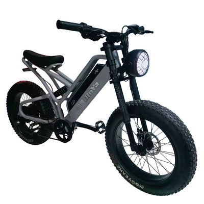 Electronic Fat Tyres Electric Bike 20 Inch Fat Tire 500w Ebike 48v With Smart Type