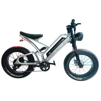 Electronic Fat Tyres Electric Bike 20 Inch Fat Tire 500w Ebike 48v With Smart Type