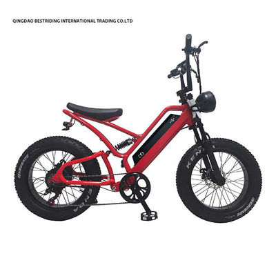 48V10Ah Lithium Battery 5000w Electric Bike For Adults 20 Inch Fat Tire Ebike