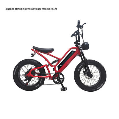 48V10Ah Lithium Battery 5000w Electric Bike For Adults 20 Inch Fat Tire Ebike