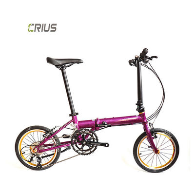 16 Inch Foldable Cycle Pull On Ground Bicycle For Eco-Friendly Transportation