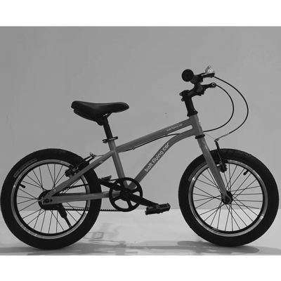 Gross Weight 16.8g Adult Cycle Road Bike Bicycle With Belt Drive And Aluminium Frame