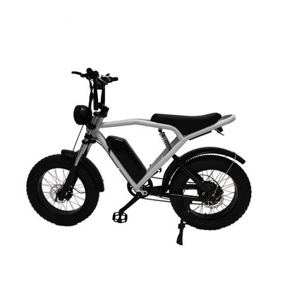 Rear Hub Motor 20*4.0'' Fat Tire Electric Bicycle E-Bike For Market