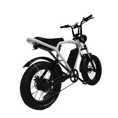 Rear Hub Motor 20*4.0'' Fat Tire Electric Bicycle E-Bike For Market