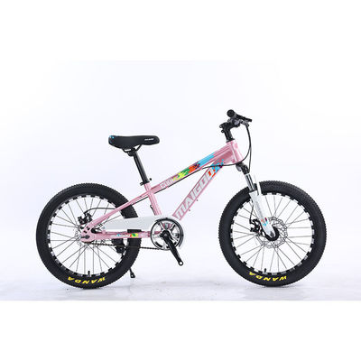 20" Children Bicycle Kids Bike Single Speed Bicicleta With Steel Suspension Fork