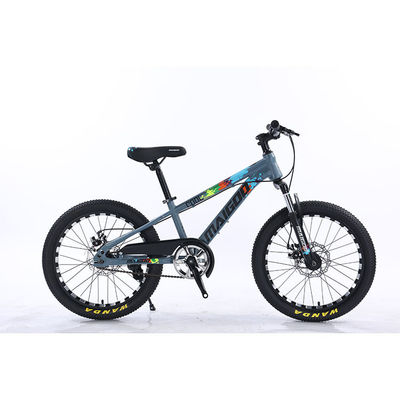20" Children Bicycle Kids Bike Single Speed Bicicleta With Steel Suspension Fork
