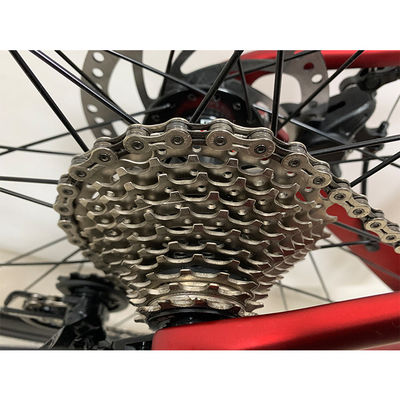 OEM Carbon Fiber Frame 700C Road Bike With 2x11 Speed Gear And Fork Suspension