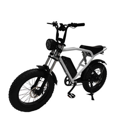 Off-Road 20*4.0 Kenda Tire Electric Bike For Thrilling Rides And Fast Shipping